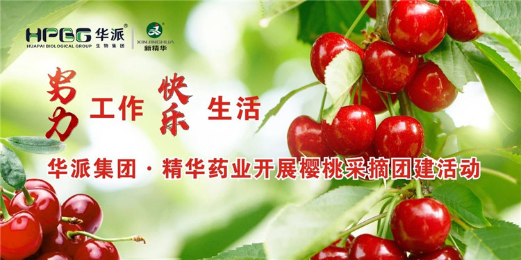 �������� �������� | ���ɼ���&middot;����yl23455ҩҵ��չӣ�Ҳ�ժ�Ž��